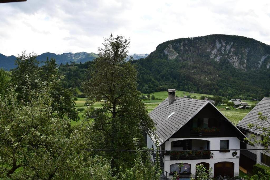 V Objemu Gora Apartment Bohinj Exterior photo