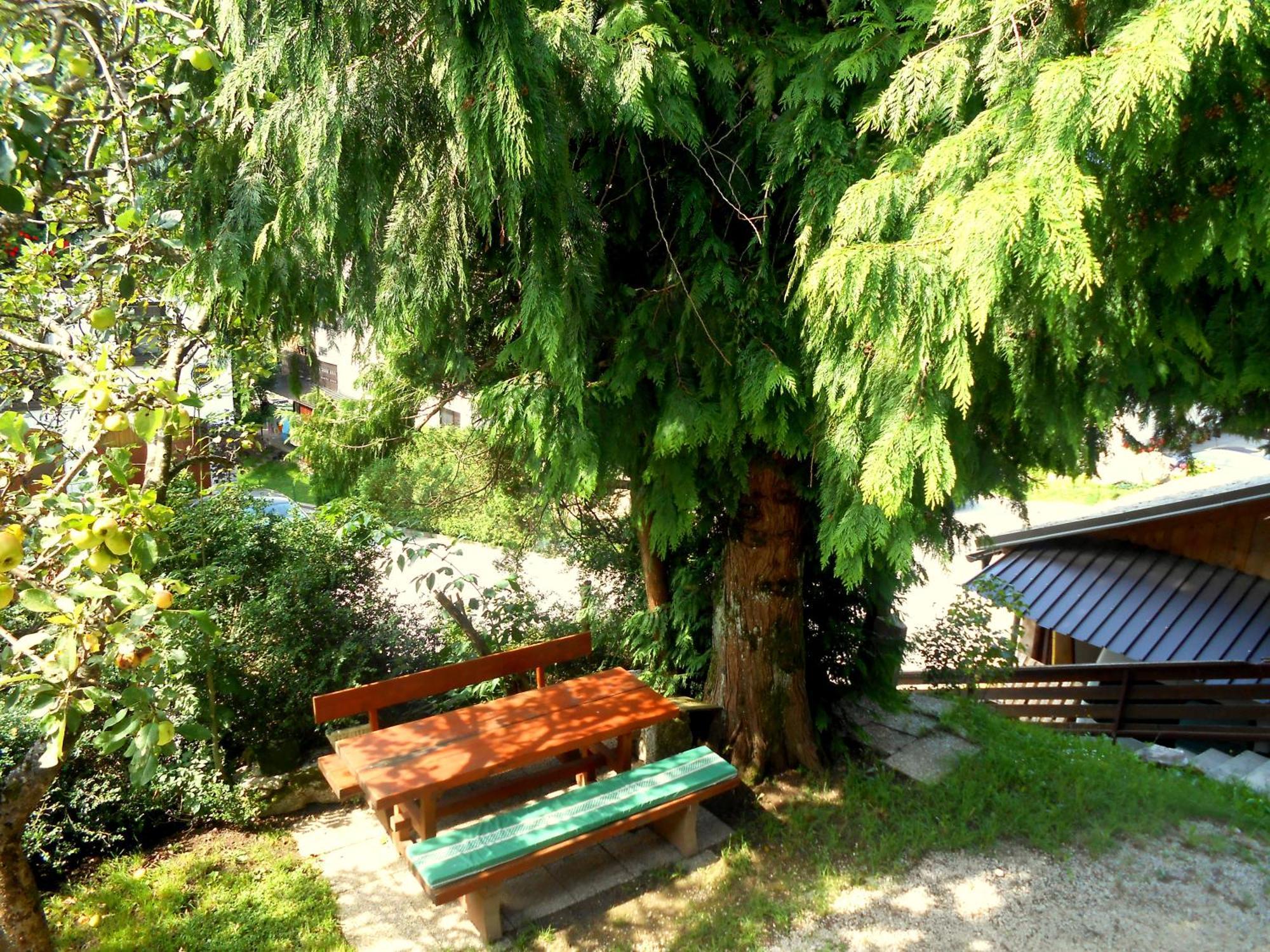 V Objemu Gora Apartment Bohinj Exterior photo